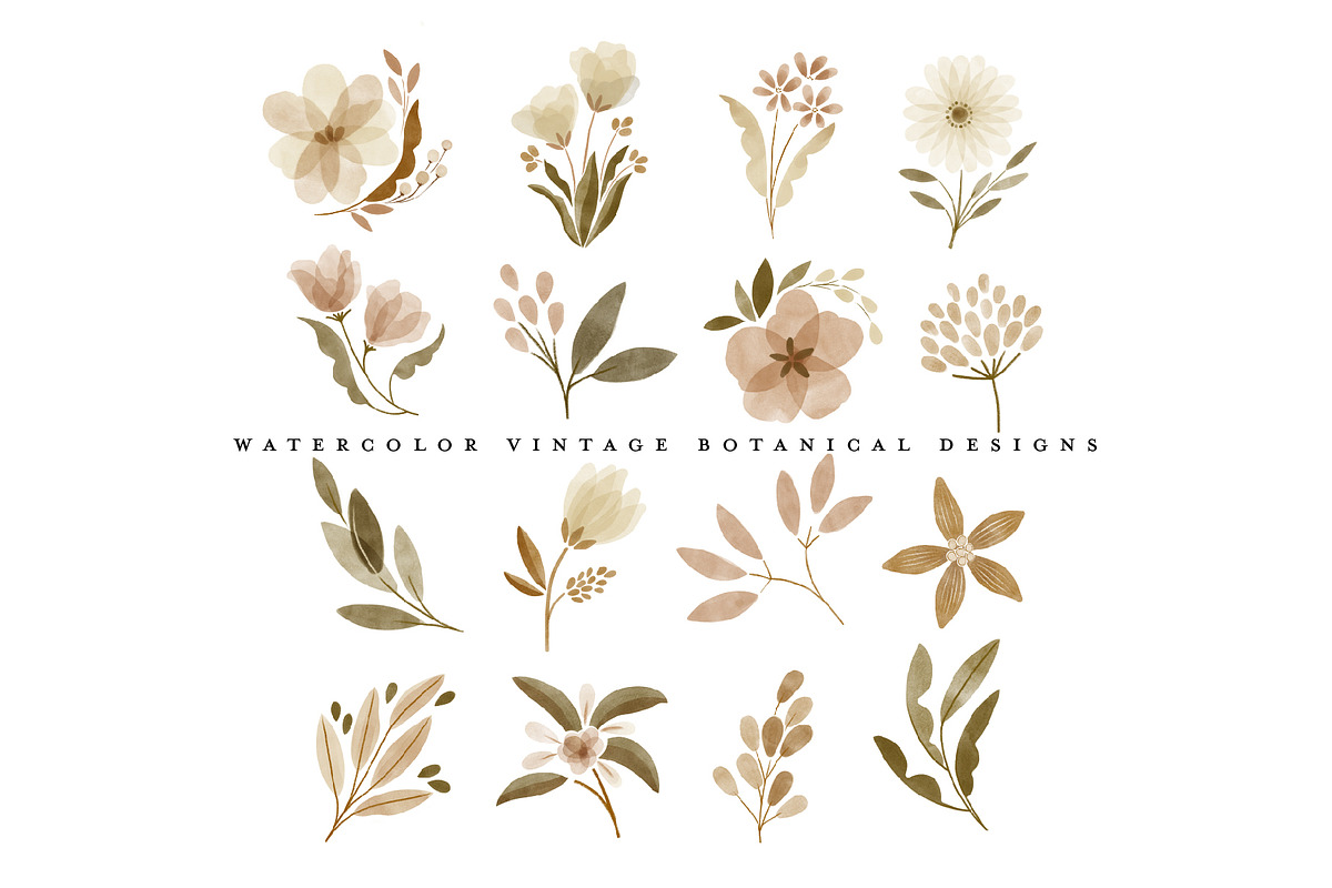 watercolor vintage botanical flowers, an Illustration by beatriceviyiwi (Photo 10 of 10)