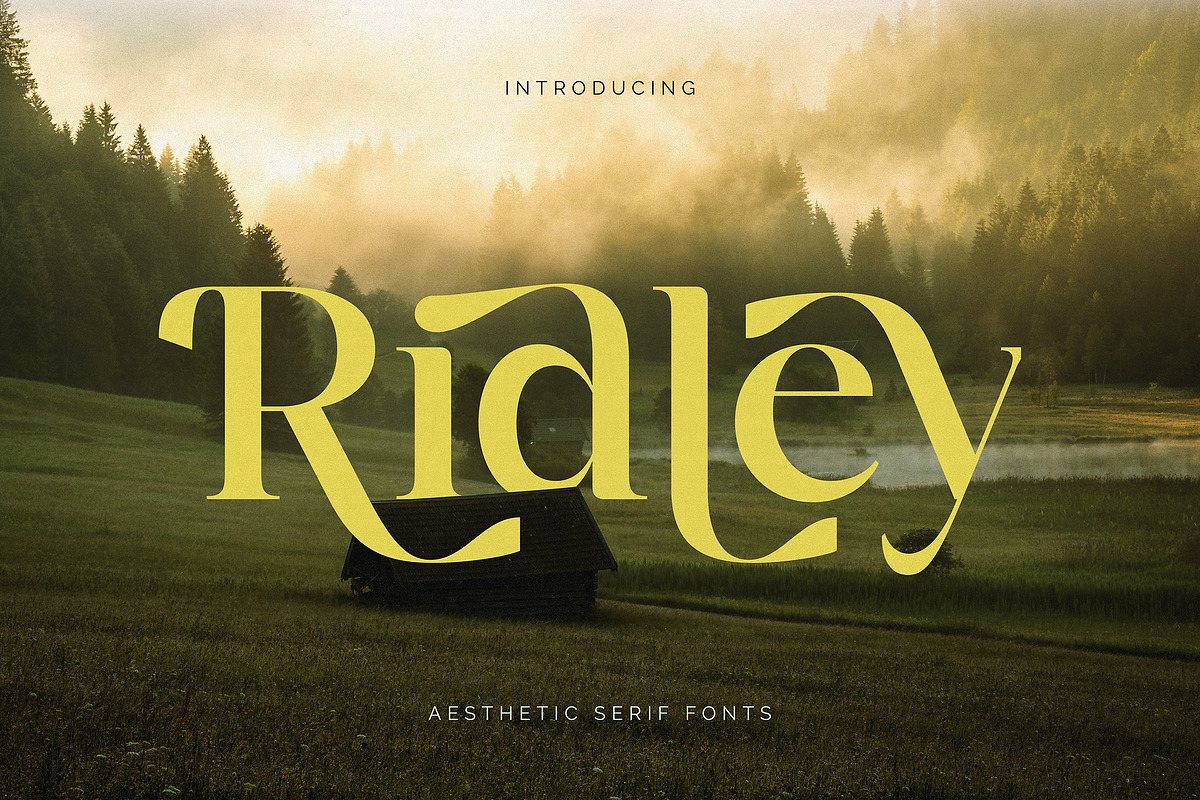 Ridley, a Serif Font by Dikas Studio (Photo 1 of 10)