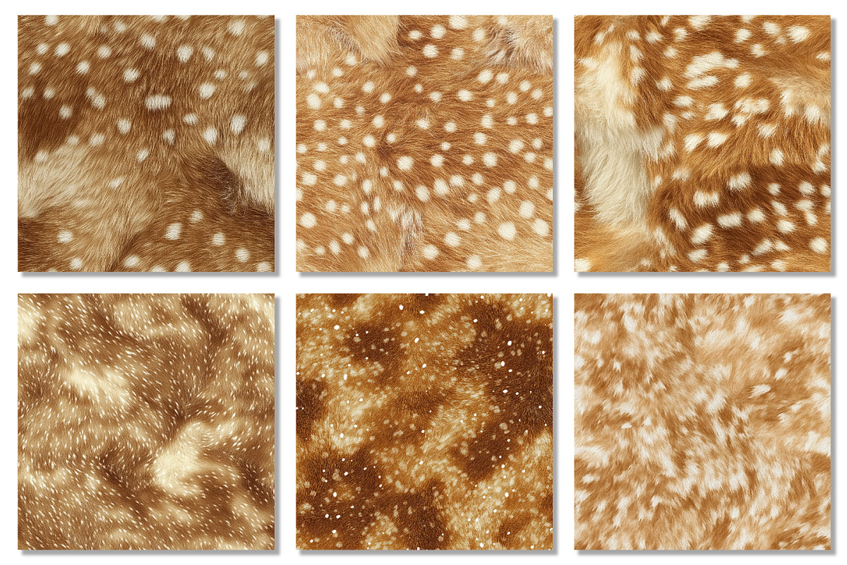 Deer Hide Digital Papers Fawn Fur, a Texture Graphic by Dream Creation (Photo 2 of 7)