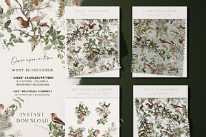 Woodland Birds Botanical Paper Pack