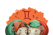 2020 year RAT Horoscope Zodiac Signs, an Animal Illustration by Dneprstock (Thumbnail 4 of 8)
