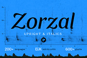 Zorzal | A serif-sans hybrid, a Serif Font by Pedroglifos (Thumbnail 1 of 11)