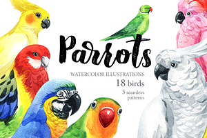 Parrots-watercolor set