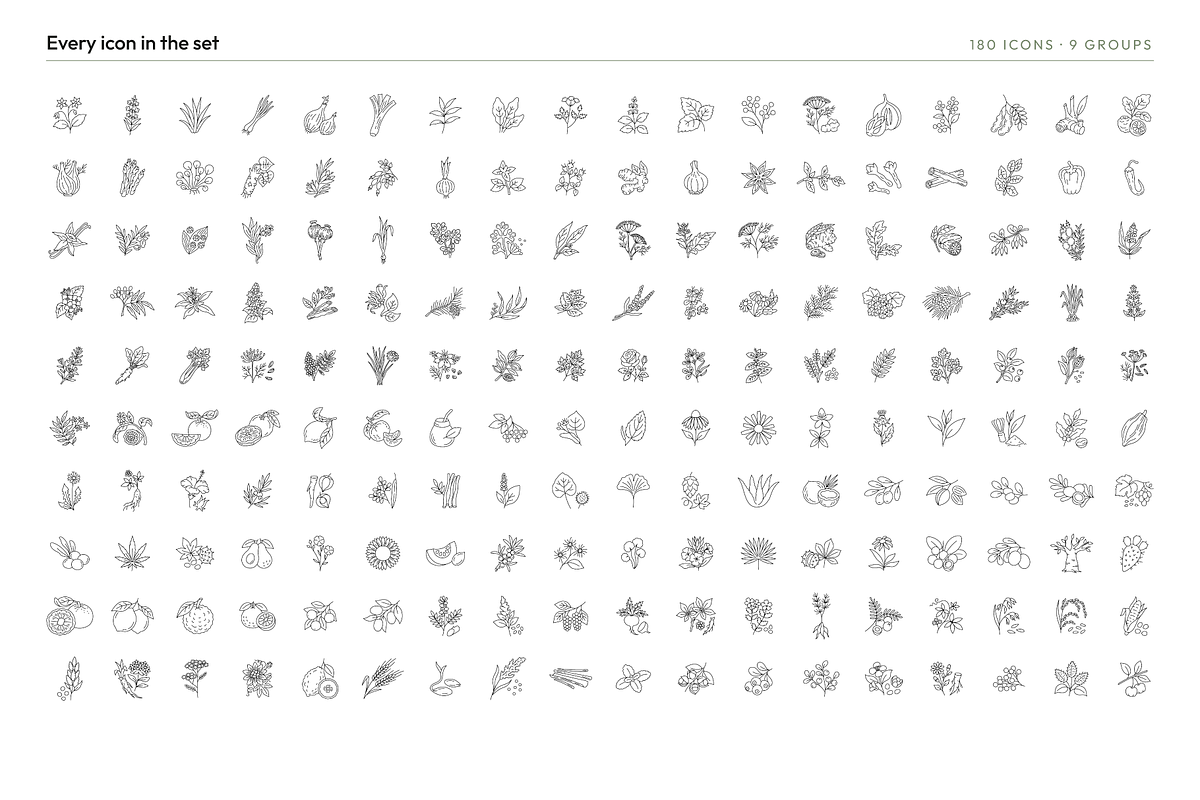 180 Botanical Ingredient Line Icons, an Outline Icon by Ilia Design (Photo 2 of 13)