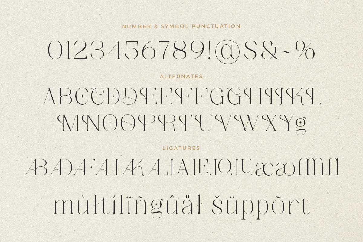 Absolute Glows -Sophisticated Luxury, a Serif Font by Shakira Studio (Photo 10 of 10)