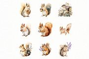 Watercolor Spring Squirrel Clipart, an Illustration by Designworld (Thumbnail 6 of 6)