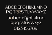 Luxenta - Elegant Sans Serif Family, a Sans Serif Font by Yukita Creative (Thumbnail 8 of 14)