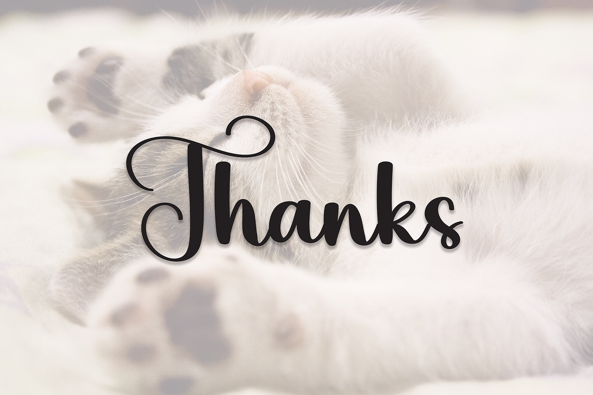Billi | Script Font, a Script Font by Scratchones (Photo 2 of 8)