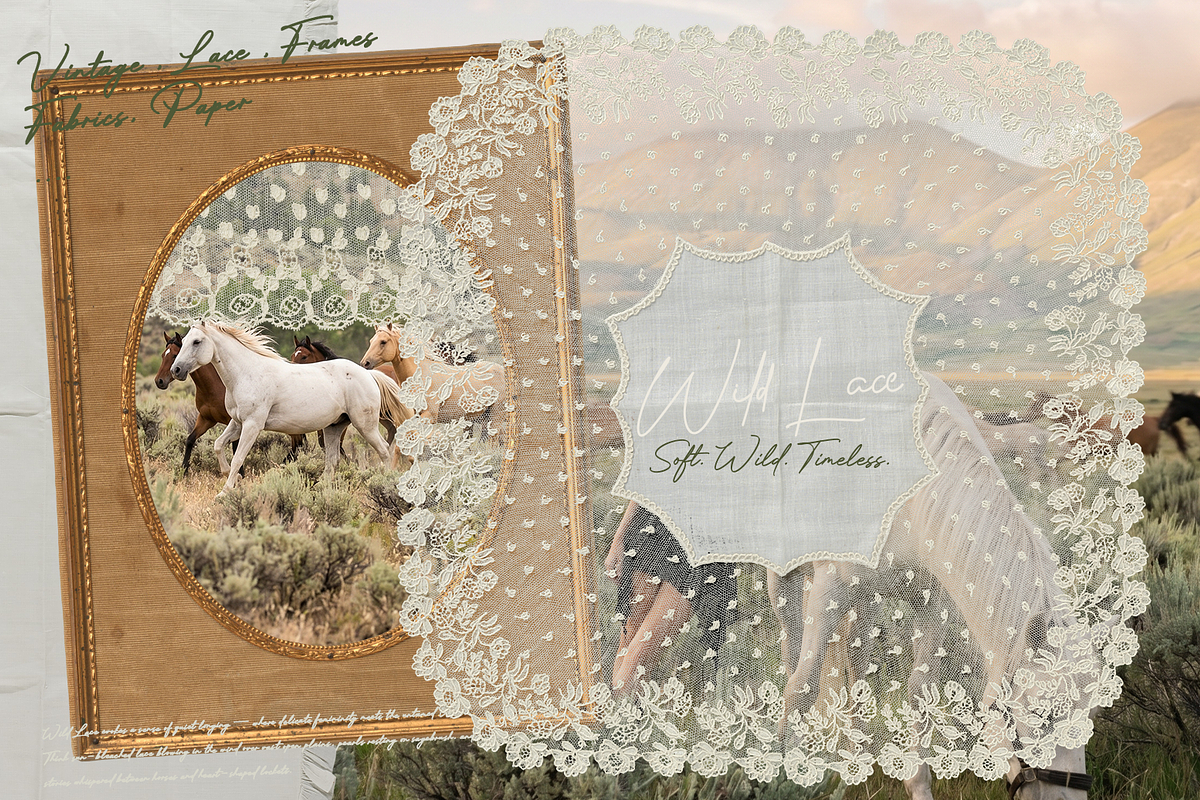 260+ Wild Lace. Soft. Wild. Timeless, an Object Graphic by Lilithcollageart (Photo 8 of 11)