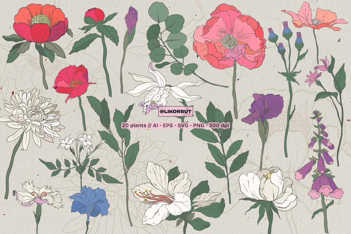 Garden Botanical Illustrations, a Decorative Illustration by likorbut (Photo 2 of 6)