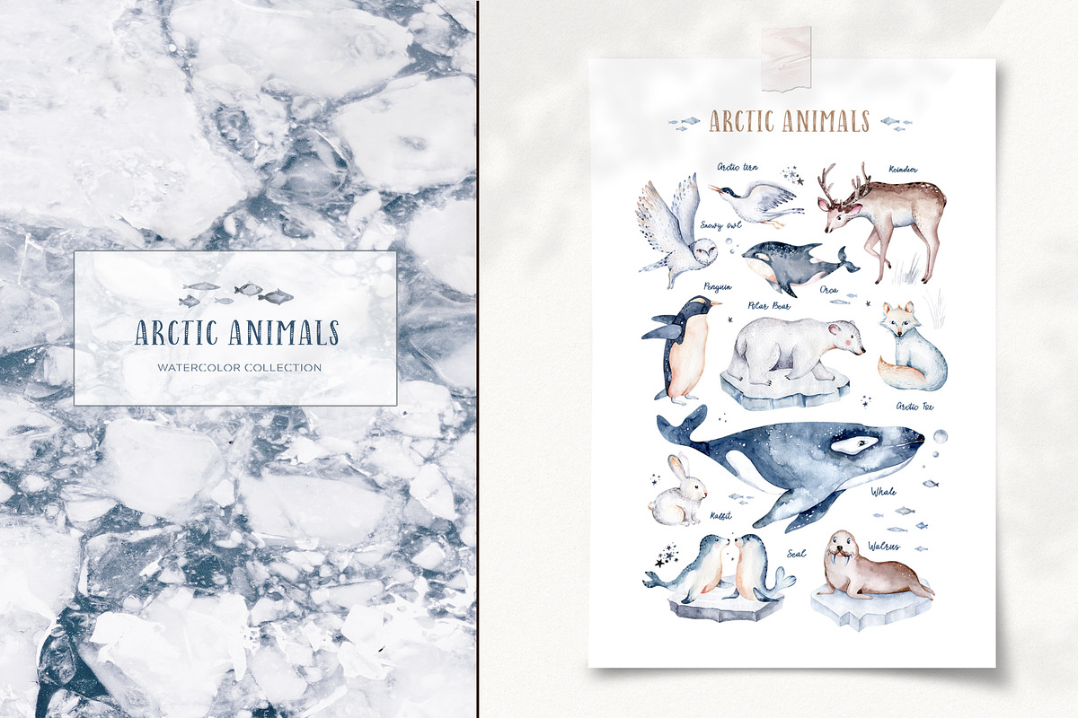Arctic cute animals.  Watercolor set, an Animal Illustration by Peace ART (Photo 15 of 22)