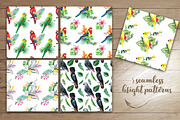 Parrots-watercolor set, an Animal Illustration by KatBranchArt (Thumbnail 4 of 5)