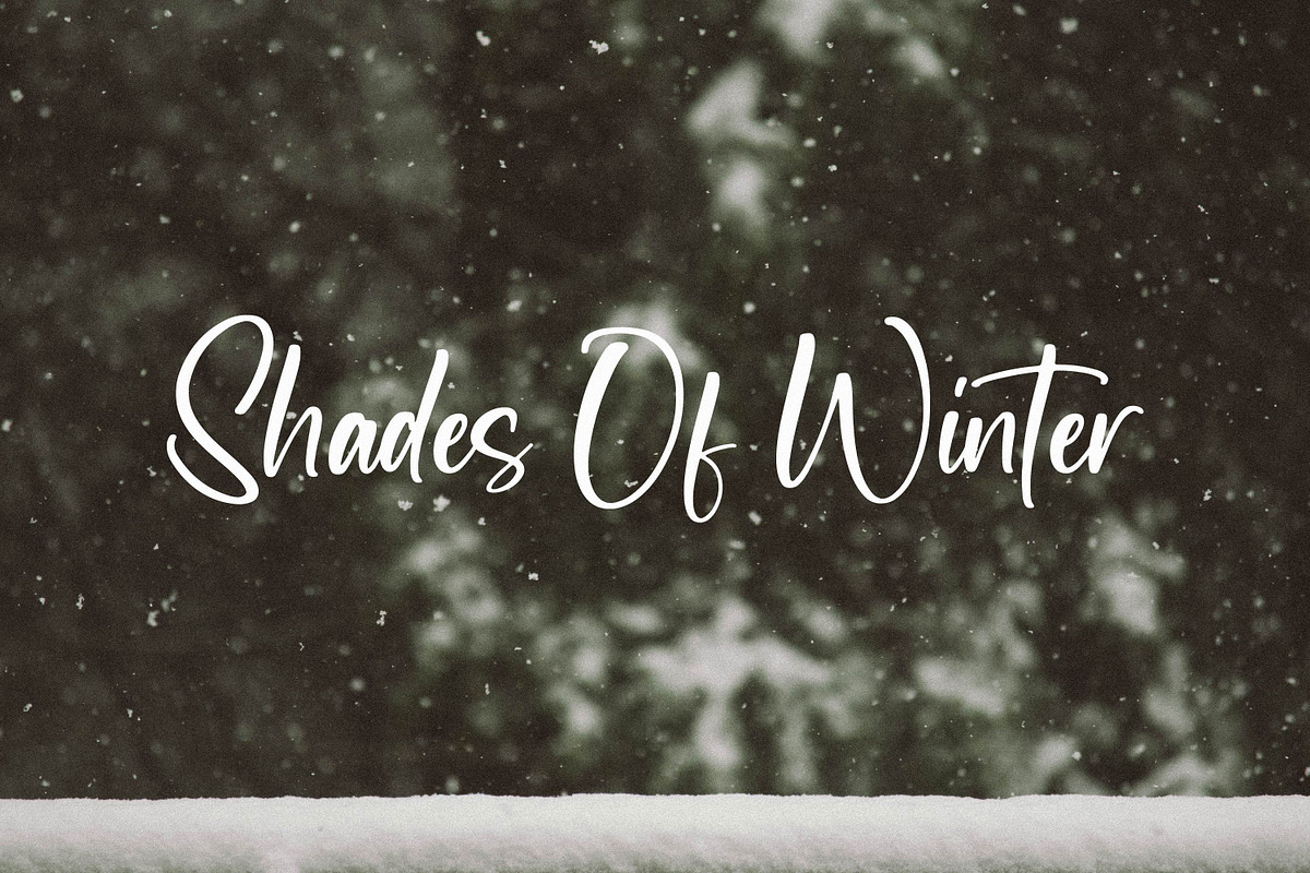 Newscript, a Script Font by Integritype Studio (Photo 5 of 14)