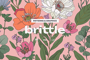 Brittle Botanical Pattern & Graphics