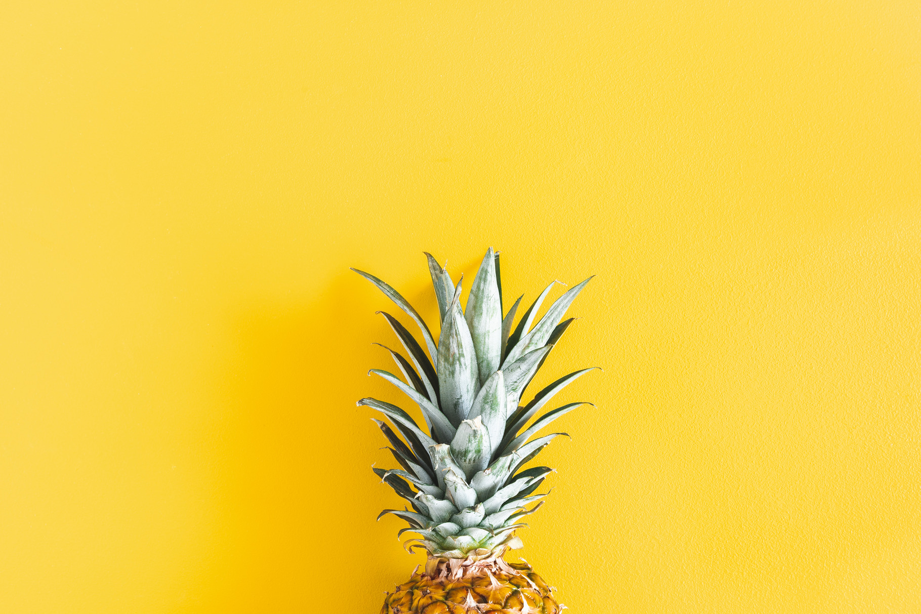 Pineapple on yellow background featuring pineapple, summer, and fruit ...