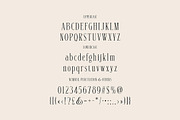 Alison Maskell Modern Serif, a Serif Font by Cruzine (Thumbnail 5 of 8)