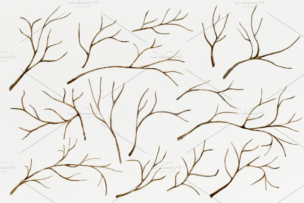 Tree branches. Watercolor DIY set, an Illustration by NataliVA (Photo 3 of 5)
