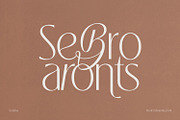 Souljiwa - Modern Branding Font, a Sans Serif Font by creativemedialab (Thumbnail 13 of 14)