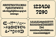 Lorelco | Retro Script, a Script Font by Lemonthe (Thumbnail 8 of 8)