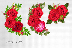 Collection Of Red Roses