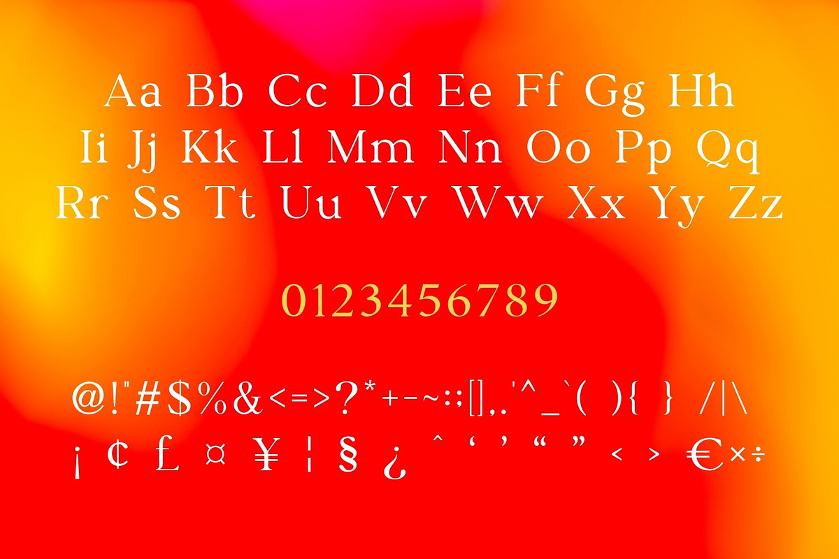 Fambrey - Modern Serif Typeface, a Serif Font by Font Kingdom (Photo 5 of 6)