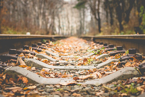 Autumn Railroad - Leaf Fall