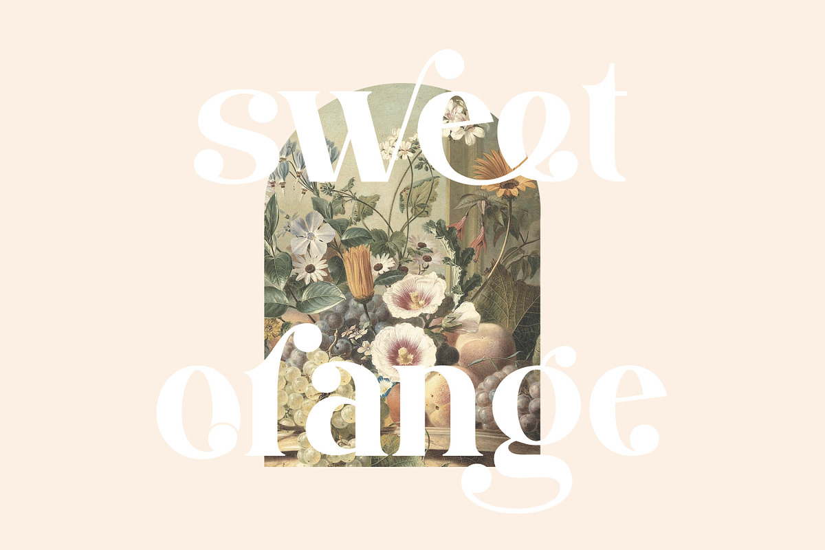 Damona, a Sans Serif Font by Flawless And Co (Photo 10 of 12)