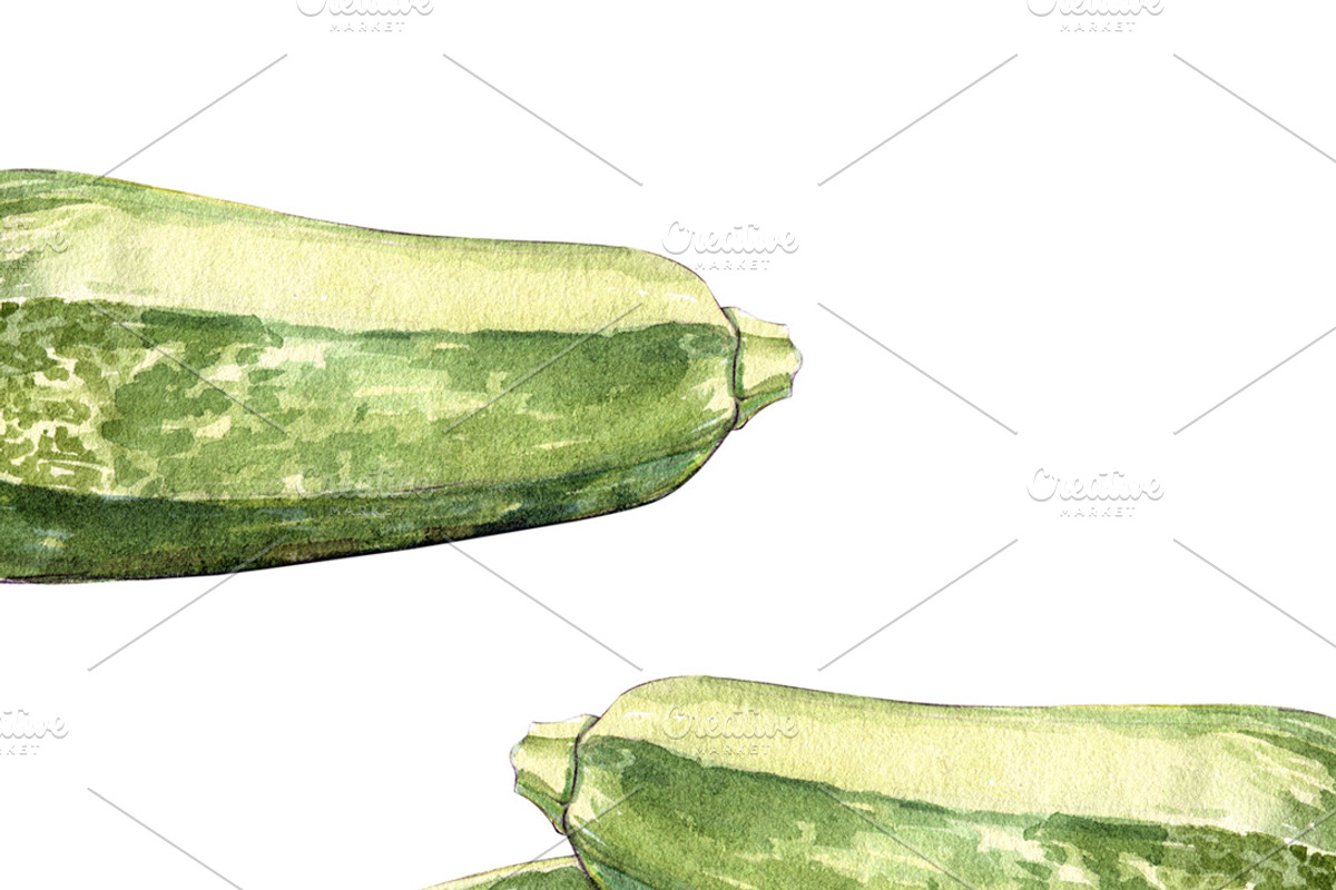 Zucchini watercolor illustrations, a Food Illustration by wedraw (Photo 2 of 4)