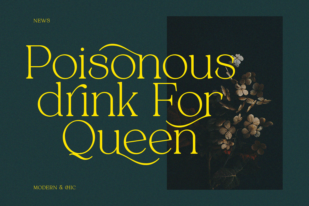 Alpinecia, a Serif Font by Pista Mova (Photo 5 of 19)