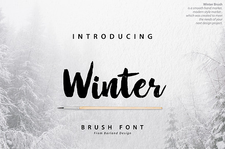 Winter Brush, a Script Font by Barland Design