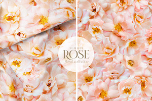 Summer Wild Rose Pink Florals