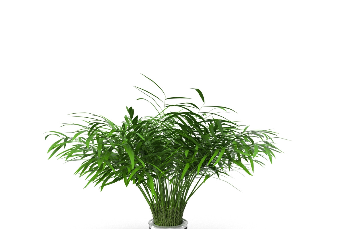 Flowerpot, an Environmental 3D Model by AndrewWhite (Photo 3 of 5)