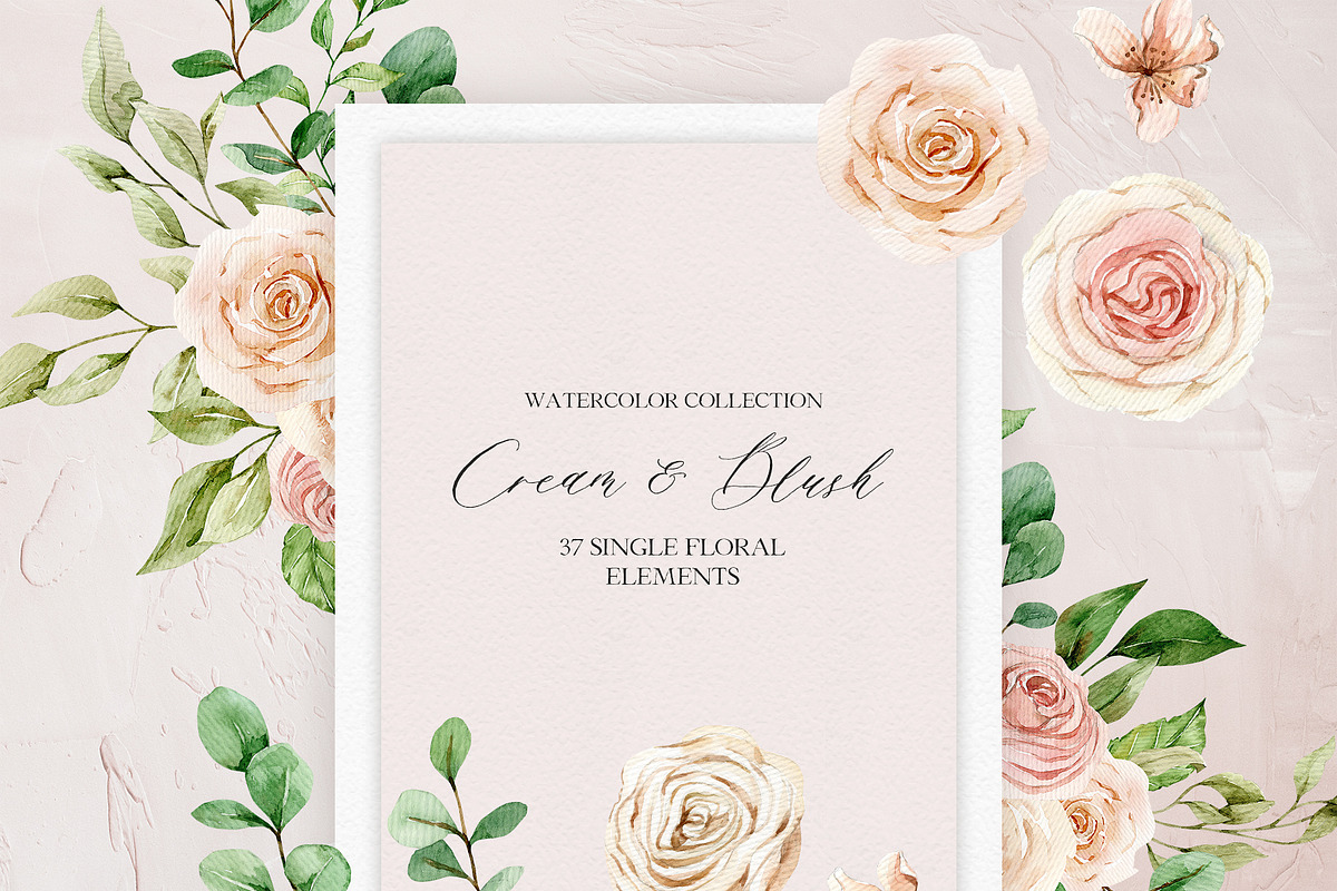 Cream & Blush - Watercolor Set, a Decorative Illustration by long summer (Photo 8 of 11)