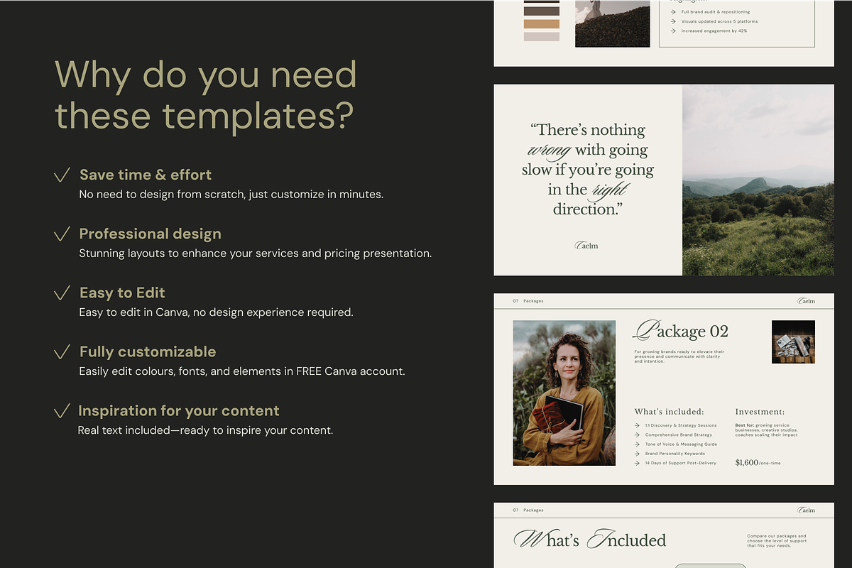 CAELM Services Pricing Guide | CANVA preview 5