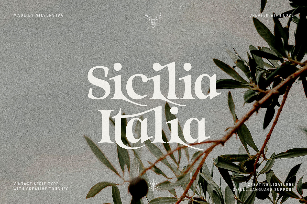 Eighties Nostalgia - Ligature Serif, a Serif Font by SilverStag Type Foundry (Photo 10 of 20)