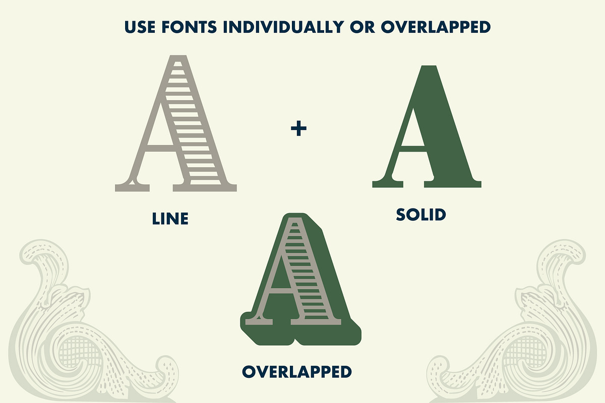 CASH, a Serif Font by Loudoun Design Co. (Photo 2 of 7)