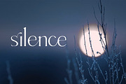 Late Fall - floral font duo, a Serif Font by Innire (Thumbnail 3 of 12)