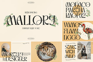 SALE! The Modern Font Bundle Vol.1