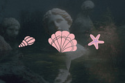 Underwater Fishes & Shells Elements, an Object Graphic by Parisa-Artstudio (Thumbnail 2 of 5)