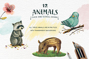 Animals and Nature - Design Kit, an Animal Illustration by Lisa's Balcony (Thumbnail 2 of 8)