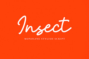 Insect - Monoline Stylish Script