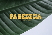 La Luna - Display Typeface, a Slab Serif Font by ZimlichMediaDesign (Thumbnail 4 of 5)
