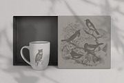 Vintage Bundle 2500+ Free Update, an Animal Illustration by Retro Machine (Thumbnail 125 of 170)
