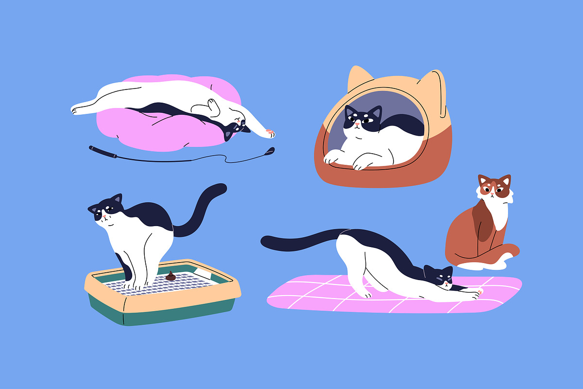 Funny cats set, banner, patterns, an Animal Illustration by PaperTrident (Photo 4 of 8)