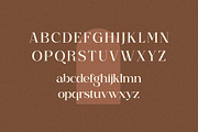 Begilas Modern Serif Font, a Serif Font by Storytype Studio (Thumbnail 11 of 14)