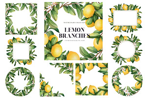 Lemon Branches. Watercolor PNG