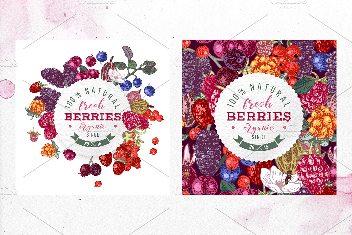 Fresh berries, a Food Illustration by handsketched (Photo 5 of 21)