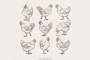 Vintage Chicken Lover PNG, an Illustration by SharpMarketplace