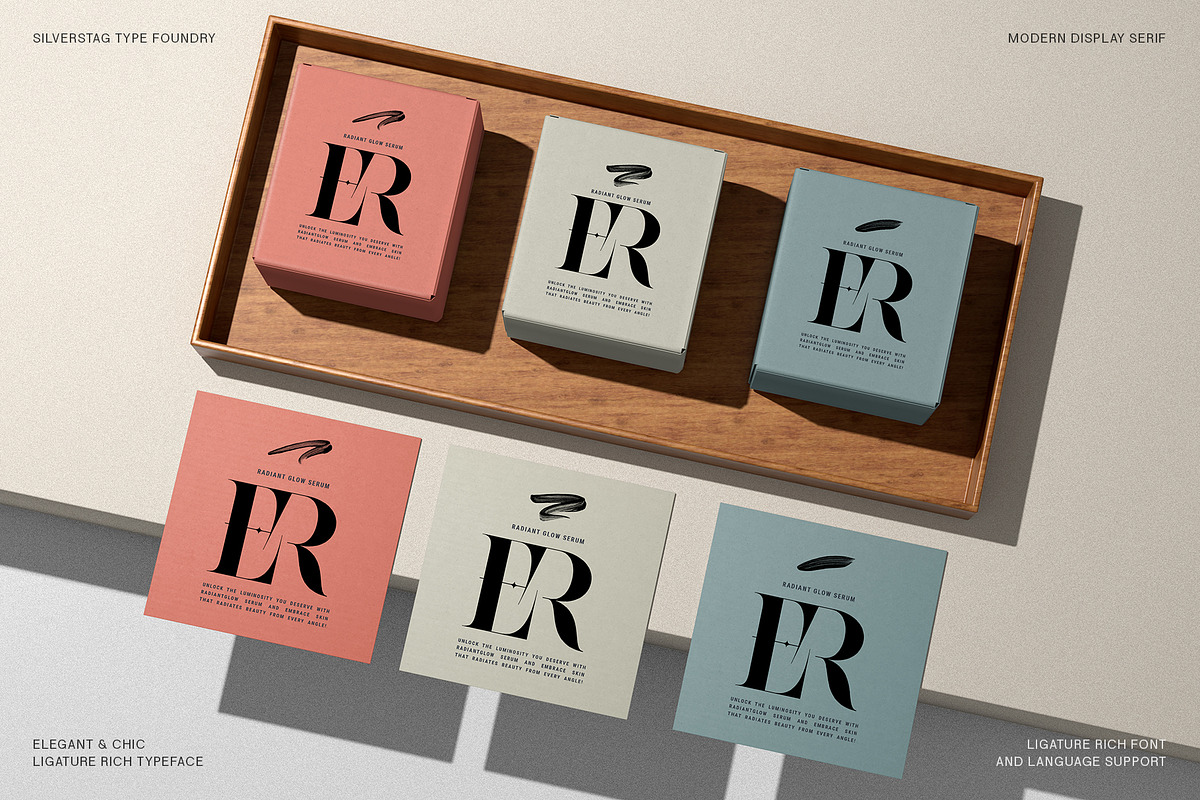 Raving Display Editorial Serif Font, a Serif Font by SilverStag Type Foundry (Photo 8 of 30)