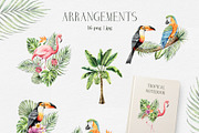 TROPICAL FOREST - Watercolor set, an Animal Illustration by Navenzeles (Thumbnail 3 of 16)
